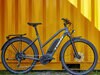 AllantPlus5Stagger_21_33126_A_Portrait